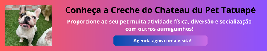 Creche para cães de pequeno porte Chateau du pet Tatuapé